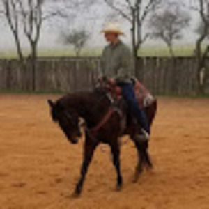 Meet your Posher, Kyle